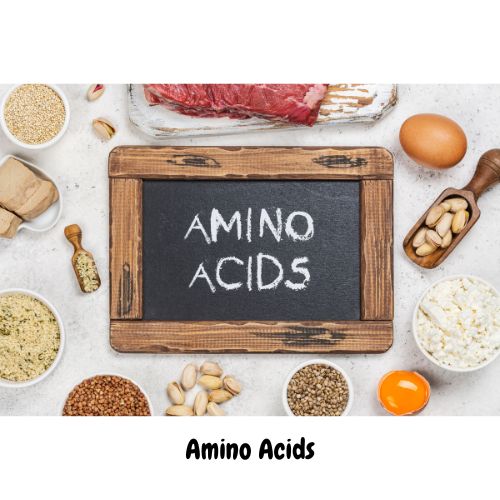 Amino acids