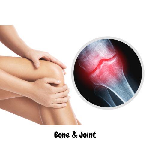 Bone & Joint
