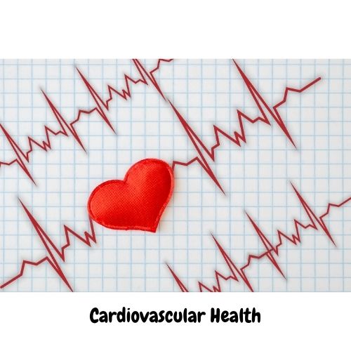 Cardiovascular Health