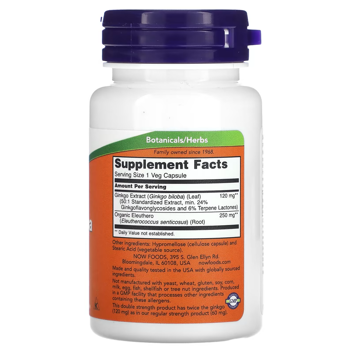Ginkgo Biloba, Double Strength, 120 mg